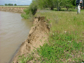 eroding bank - habitat